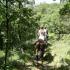 4bb5c2da38202-pict0960jpg.JPG